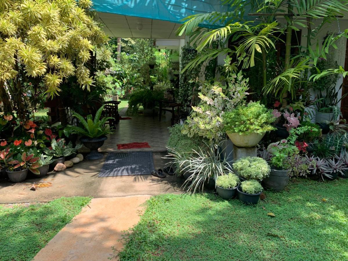 Tranquil Private Villa Near Bentota Beach Zewnętrze zdjęcie